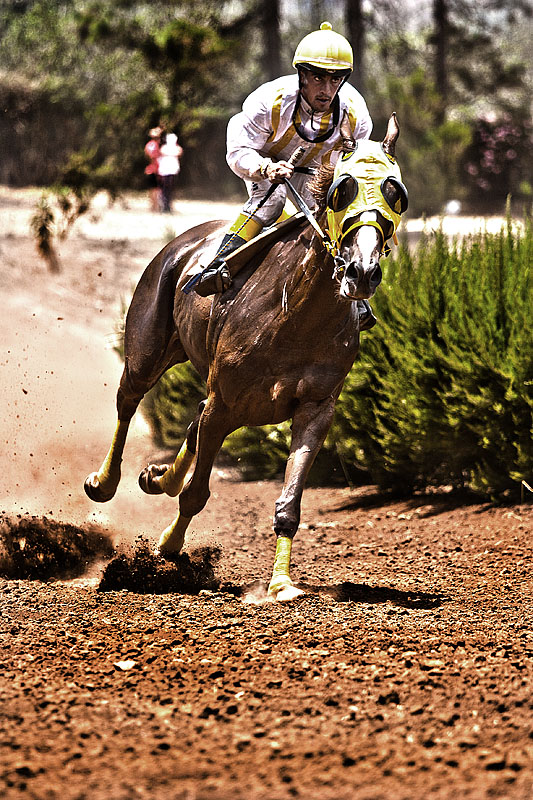 Carreras de Caballos